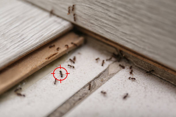 Best Pest Prevention Services  in Chesterbrook, PA