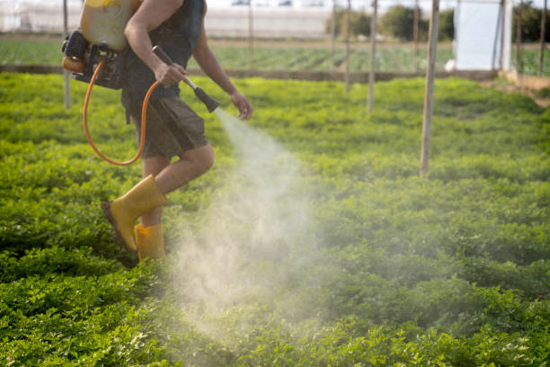 Best Local Pest Control Services  in Chesterbrook, PA