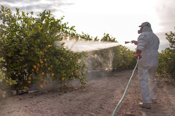 Best Wasp Removal Services  in Chesterbrook, PA