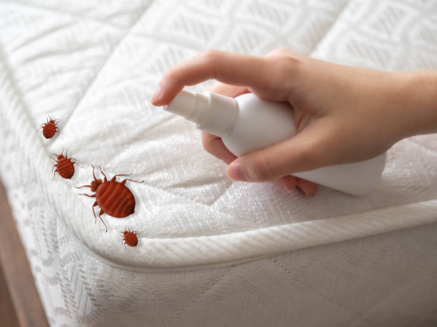 Best Local Pest Control Services  in Chesterbrook, PA