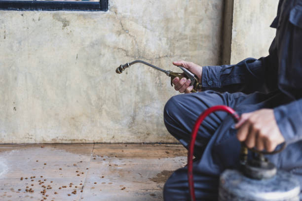 Best Mosquito Control Services  in Chesterbrook, PA